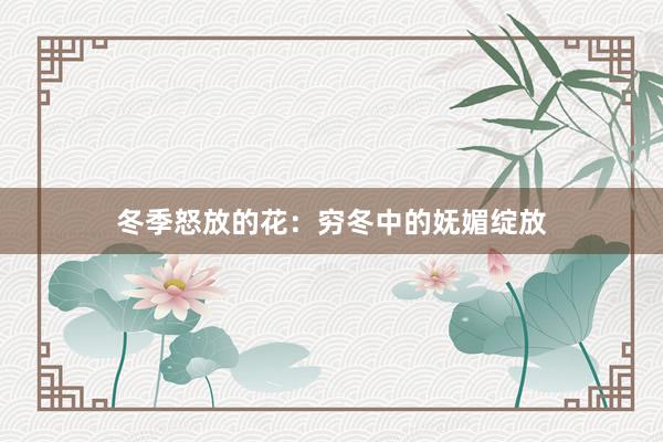 冬季怒放的花：穷冬中的妩媚绽放