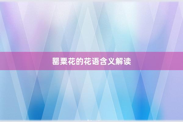 罂粟花的花语含义解读